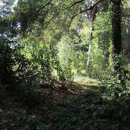 Maria Quinta 3 Casa Do Armazém Appartement *